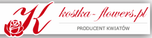 Producent kwiatów Kostka - flowers