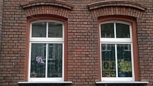 6-motyle w oknie